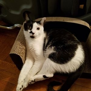 Meet your Posher, Denise